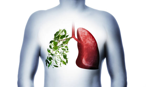 Acid Reflux Relief 2024
