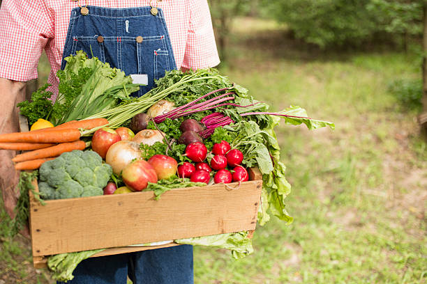 Vegetables