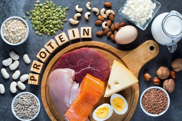 High Protein Foods