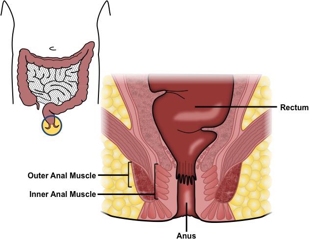 Anal Cancer