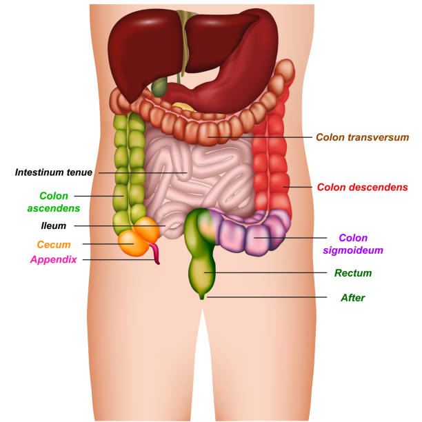 anal cancer